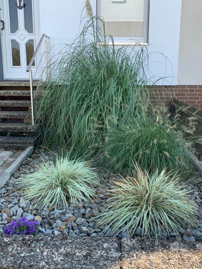 Ferienwohnung Anja Steinhude Exterior foto